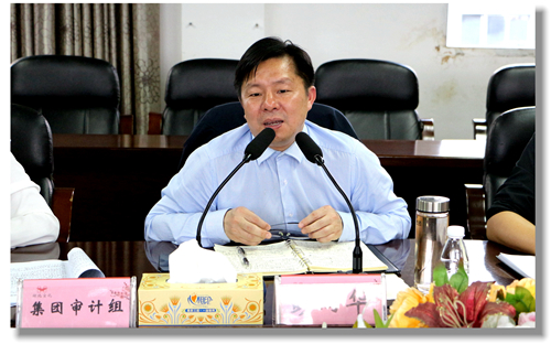 集團(tuán)黨委委員、紀(jì)委書記彭向華強(qiáng)調(diào)審計整改工作要深挖思想根源(圖2)