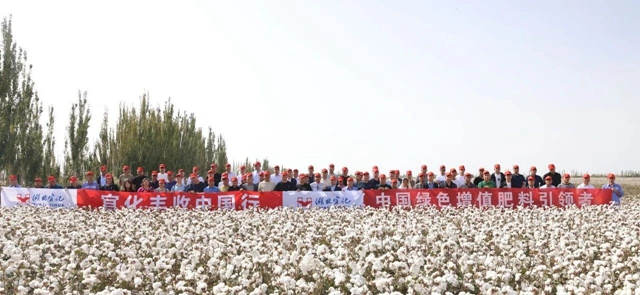 宜化豐收中國(guó)行！新疆棉花大型測(cè)產(chǎn)觀摩會(huì)成功舉行