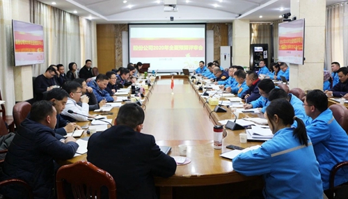 王大真調(diào)研指導(dǎo)股份公司、化機(jī)公司和TMP新項(xiàng)目2020年財(cái)務(wù)預(yù)算工作