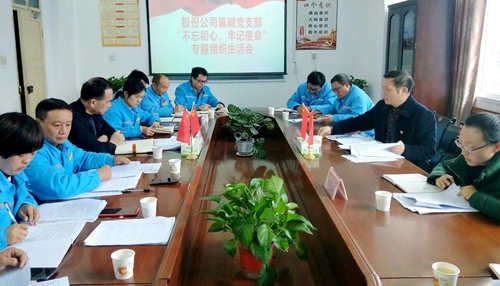 向宇飛列席指導(dǎo)股份公司氯堿黨支部“不忘初心、牢記使命”專(zhuān)題組織生活會(huì)